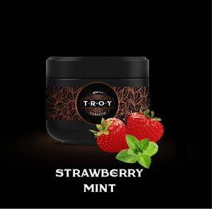 خرید تنباکو قلیان توتفرنگی نعنا تروی troy