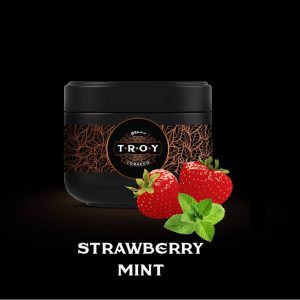 خرید تنباکو قلیان توتفرنگی نعنا تروی troy