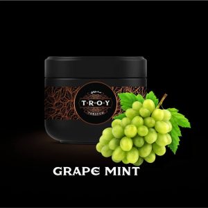 خرید تنباکو قلیان انگورنعنا تروی troy