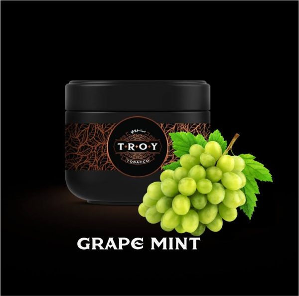 خرید تنباکو قلیان انگورنعنا تروی troy