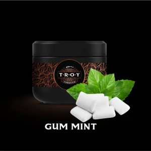 خرید تنباکو قلیان ادامس نعنا تروی troy