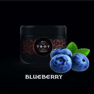 خرید تنباکو قلیان بلوبری تروی troy